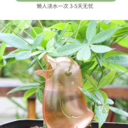 懶人自動澆水器